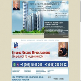 Скриншот главной страницы сайта emtseva.realtysystems.ru