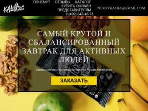 Скриншот главной страницы сайта energykasha.ru
