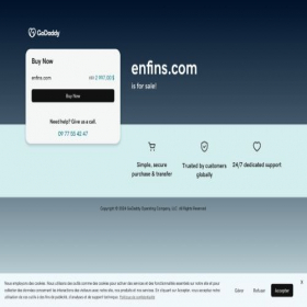 Скриншот главной страницы сайта enfins.com