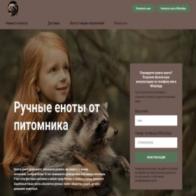 Скриншот главной страницы сайта enot-ru.tilda.ws