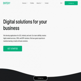 Скриншот главной страницы сайта entexy.com