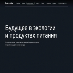 Скриншот главной страницы сайта envirocells.com