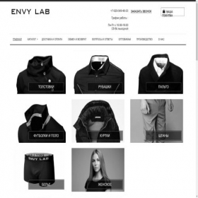 Скриншот главной страницы сайта envylab.ru