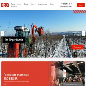 Скриншот главной страницы сайта ero-binger-rus.com