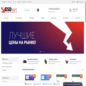 Скриншот главной страницы сайта esdsoft.ru