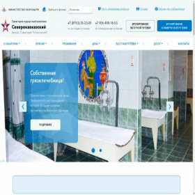 Скриншот главной страницы сайта essvoen.ru