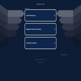 Скриншот главной страницы сайта ethearn.net