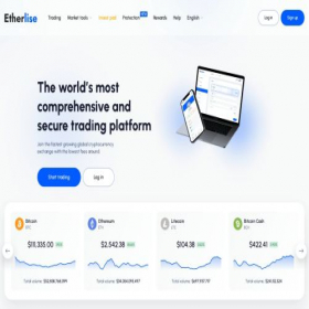 Скриншот главной страницы сайта etherlise.com