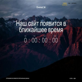 Скриншот главной страницы сайта everest34.ru