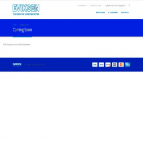 Скриншот главной страницы сайта eviksen.com