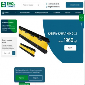 Скриншот главной страницы сайта evolconnect.ru