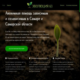 Скриншот главной страницы сайта evolutio63.ru