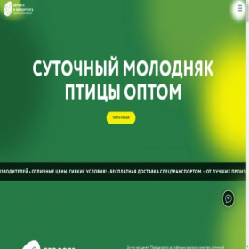 Скриншот главной страницы сайта evroeggs.ru
