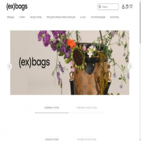 Скриншот главной страницы сайта ex-bags.ru