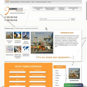 Скриншот главной страницы сайта ex-fly.ru
