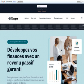 Скриншот главной страницы сайта exagoninvltd.net