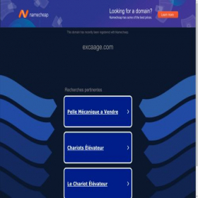 Скриншот главной страницы сайта excaage.com