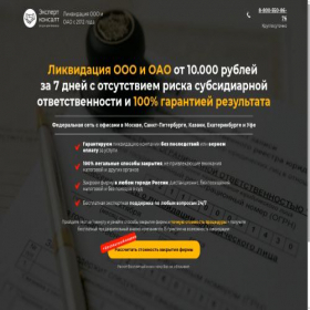 Скриншот главной страницы сайта exconsult.pro