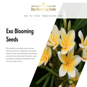 Скриншот главной страницы сайта exobloomingseeds.ru