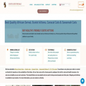 Скриншот главной страницы сайта exoctic-cats.com