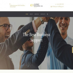 Скриншот главной страницы сайта expert-holding.com