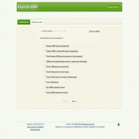 Скриншот главной страницы сайта express-gsm.ru