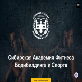 Скриншот главной страницы сайта extfit.ru