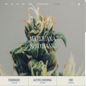 Скриншот главной страницы сайта extreme-seeds.com