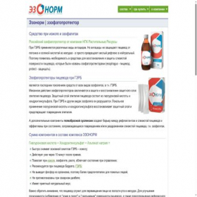 Скриншот главной страницы сайта ezonorm.com
