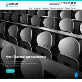 Скриншот главной страницы сайта f-ps.ru