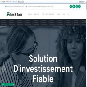 Скриншот главной страницы сайта falconandeagleinvlimited.com