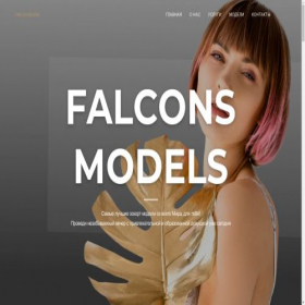 Скриншот главной страницы сайта falconsmodels.com