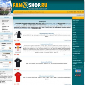 Скриншот главной страницы сайта fanstore.ru