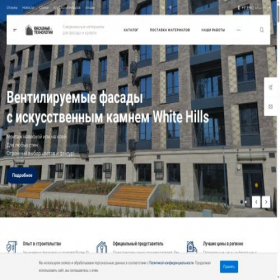 Скриншот главной страницы сайта fasdom.ru