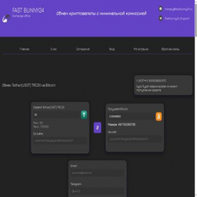 Скриншот главной страницы сайта fastbunny24.pro