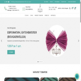 Скриншот главной страницы сайта fatin.ru