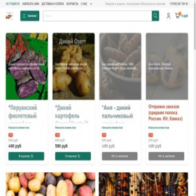 Скриншот главной страницы сайта favseeds.ru