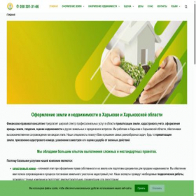 Скриншот главной страницы сайта fconsult.com.ua