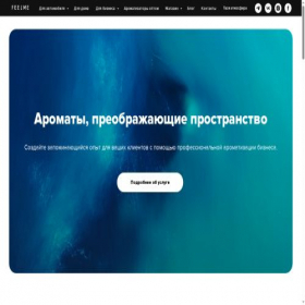 Скриншот главной страницы сайта feelme.pro