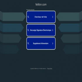Скриншот главной страницы сайта feililon.com