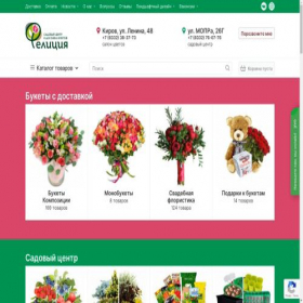 Скриншот главной страницы сайта feliciya.kirov.ru