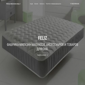 Скриншот главной страницы сайта feliz-matras.ru