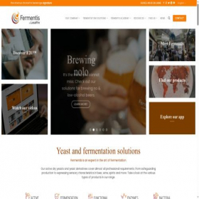 Скриншот главной страницы сайта fermentis.com