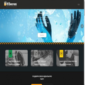 Скриншот главной страницы сайта fiberonrus.ru
