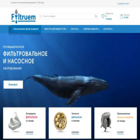 Скриншот главной страницы сайта filtruem.ru