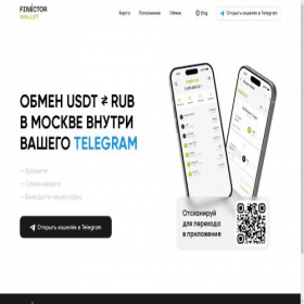 Скриншот главной страницы сайта finector.ae