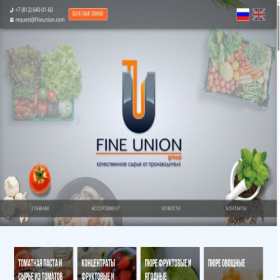 Скриншот главной страницы сайта fineunion.com