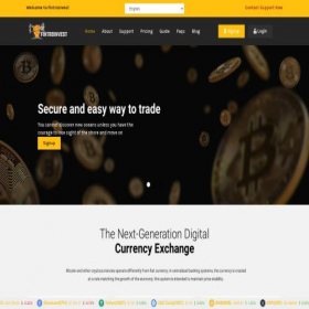 Скриншот главной страницы сайта fintroinvest.com