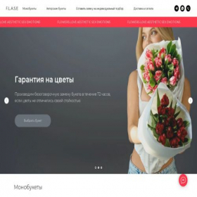 Скриншот главной страницы сайта flase.ru