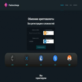 Скриншот главной страницы сайта flash-exchange.ru